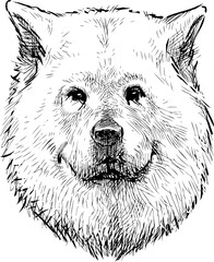 Freehand drawing of a portrait guard dog