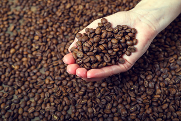 coffee beans in the hands