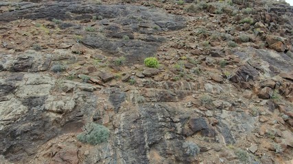 moss covered rocks