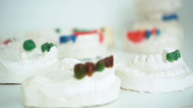 Fake teeth jaw maquette color