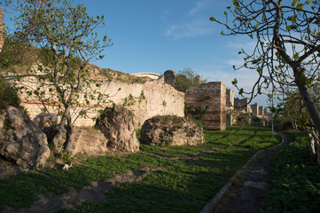 Istanbul walls and agricultural fields at the bottom