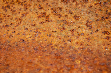 beautiful rusty plate, abstraction, texture, background