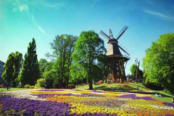 colorful flowers in front of a windmill in Bremen garden , Germany, 06.05.2020