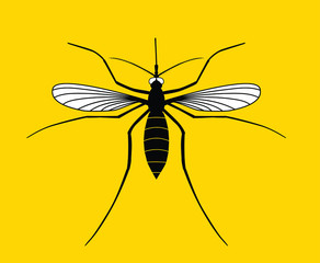 Realistic mosquito on yellow background, insect closeup, vector illustration, top view.