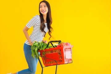 Portrait beautiful young asian woman shopping grocery from supermarket and cart