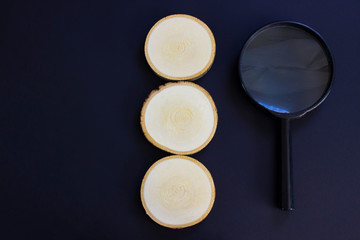 SEO, search engine optimization ranking concept, magnifying glass with three wooden circles for words or letters, the idea of promoting traffic to the site.