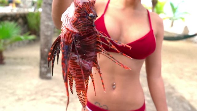 Beautiful young woman holding dead lionfish at beach, smiling female tourist wearing red bikini with Pterois - Montego Bay, Jamaica