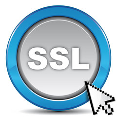 ssl icon