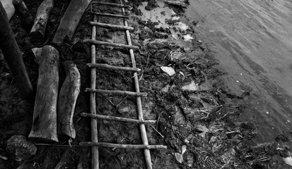 Wood on a muddy texture in Kaal Luum Mexico