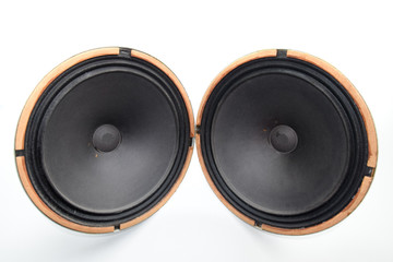 an Antique Soviet woofer 5gd-3 from vintage acoustics Symphony.