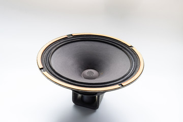 an Antique Soviet woofer 5gd-3 from vintage acoustics Symphony.