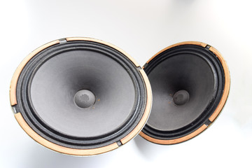 an Antique Soviet woofer 5gd-3 from vintage acoustics Symphony.