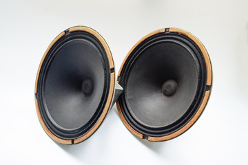 an Antique Soviet woofer 5gd-3 from vintage acoustics Symphony.