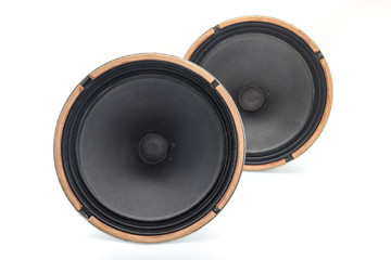 an Antique Soviet woofer 5gd-3 from vintage acoustics Symphony.