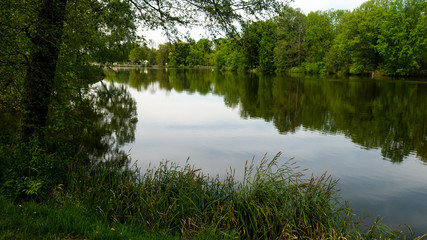 Fototapeta na wymiar A pond surrounded by trees in the Świerklaniec park. A free entry space