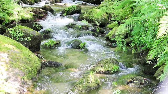 Agua de manantial
