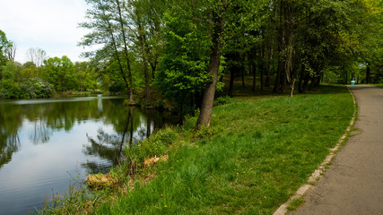 Fototapeta na wymiar A pond surrounded by trees in the Świerklaniec park. A free entry space