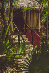 Log cabin in the jungle, Yal ku Mexico