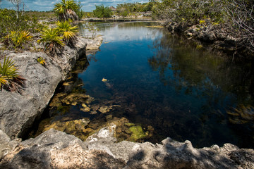 Naklejka na ściany i meble Beautiful Landscape natural view of transparent waters of turquoise blue Caribbean lagoon Yal-ku located in Mexican Mayan Riviera, Quintana Roo at Akumal