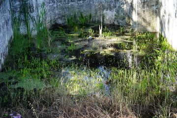 Quinta Abandonada