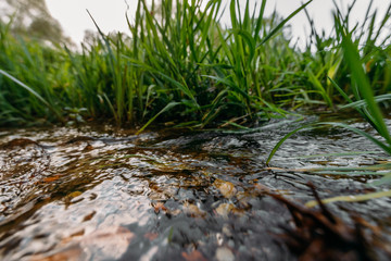 A narrow stream surrounded by green grass. Landscape or background