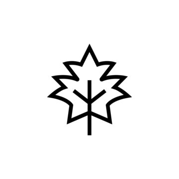 recommend clip art: Maple icon in linear, outline style isolated on white background