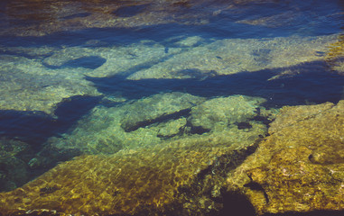 Clear and mossy water of a lagoon with rocks at the bottom 