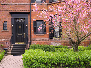 Front yard of old brick house with flowering tree