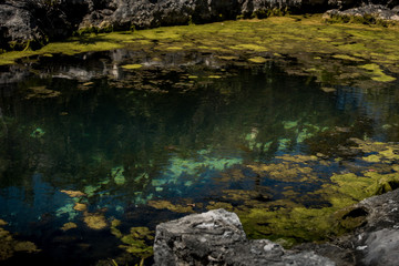 Fototapeta na wymiar Blue water lagoon and rocks with moss