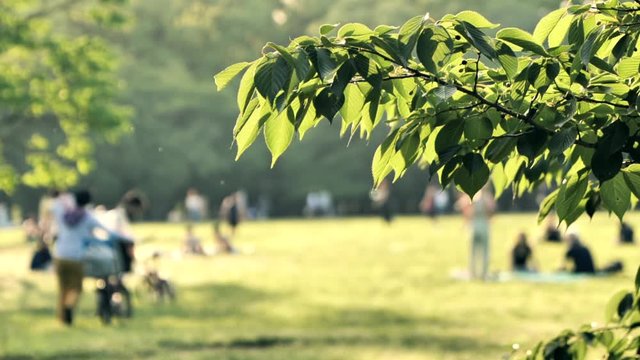 休日に公園でくつろぐ人々のイメージ