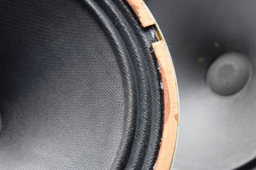 an Antique Soviet woofer 5gd-3 from vintage acoustics Symphony.