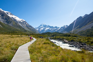 mount cook