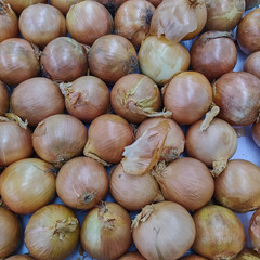 Onion (Allium cepa) also known as the bulb onion at supermarket. Vegetables background concept photo