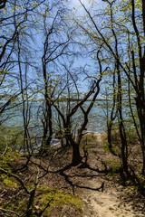 Wandern in der Goor, Lauterbach, Insel Rügen