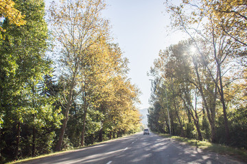 road in autumn in Abkhazia