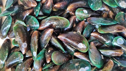 Photo of mussels. Not cleaned. Barnacle perched on the shells.Seafood in Thailand. Local food.