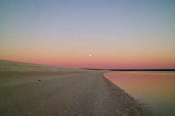 Shell Beach in Francois Peron National Park in  WA Australia                       