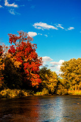 Bright colors of the fall near Credit River, Mississauga, Ontario, Canada
