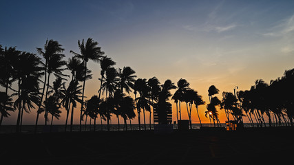 sunset on the beach Summer concept background : silhouette Coconut palm tree on the beach in Thailands with sunset sky background.