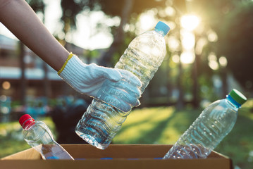 Volunteer woman hand wearing glove and keep plastic bottle into paper box at public park,Dispose recycle and waste management concept,Environmentally friendly