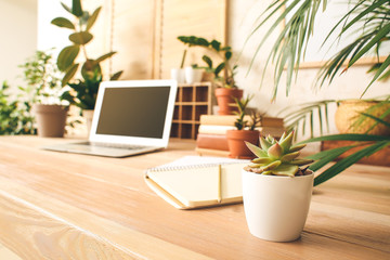 Fototapeta premium Comfortable workplace with modern laptop and green houseplants
