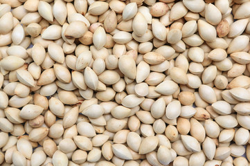 Pistachio nuts as texture background. Top view