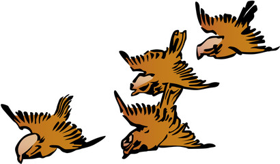 浮世絵　鳥　その16