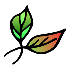 Flower drawing. Vector hand-drawn doodle illustration