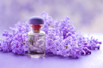 Obraz na płótnie Canvas Lilac flowers and essential oil on a lilac background