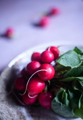 A bunch of freshly harvested red baby radishes on a plate by the window in a dark room