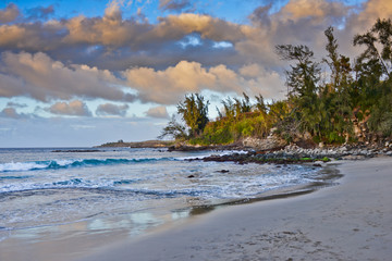 DT Flemings Beach park