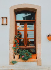 window with flowers