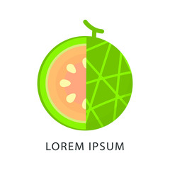 melon logo vector design concept. melon icon. fruit