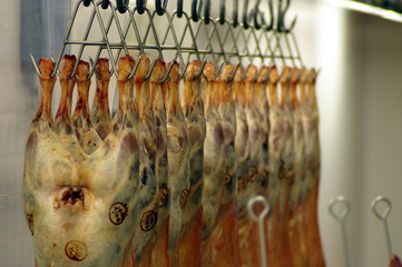 Lamb hanging from meat hooks